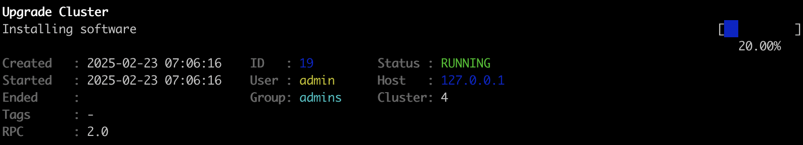 PostgreSQL Cluster Job CLI